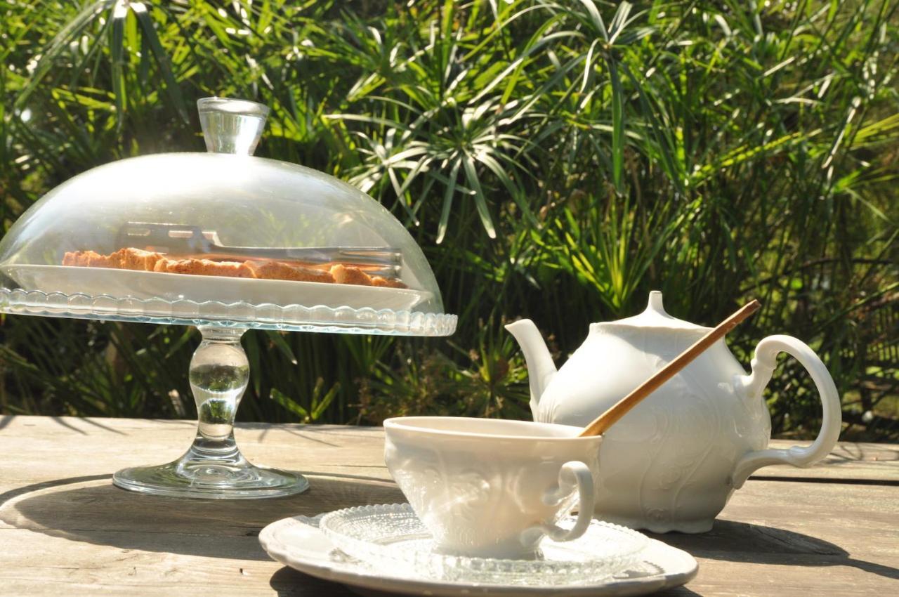 Ca' Barbona Bed & Breakfast ลิโด ดิ กลาสเซ ภายนอก รูปภาพ