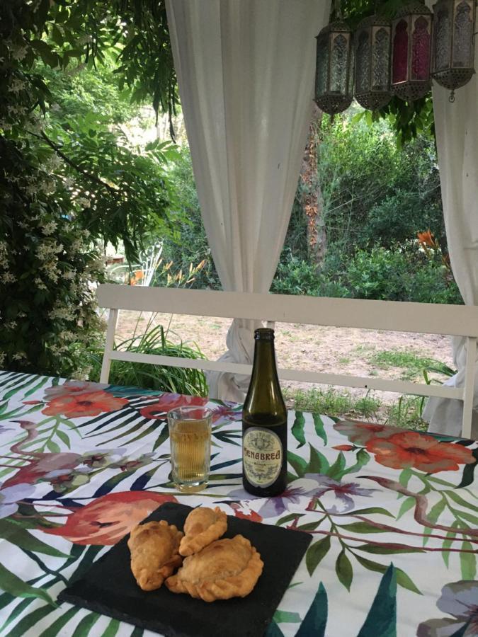 Ca' Barbona Bed & Breakfast ลิโด ดิ กลาสเซ ภายนอก รูปภาพ
